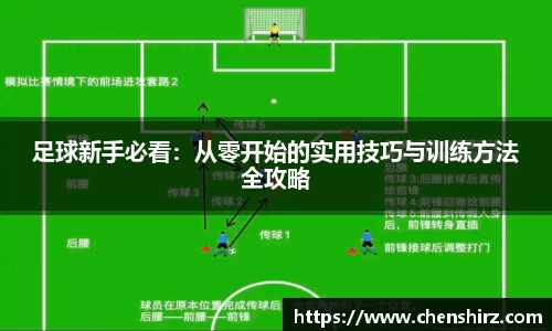 三亿体育有限公司